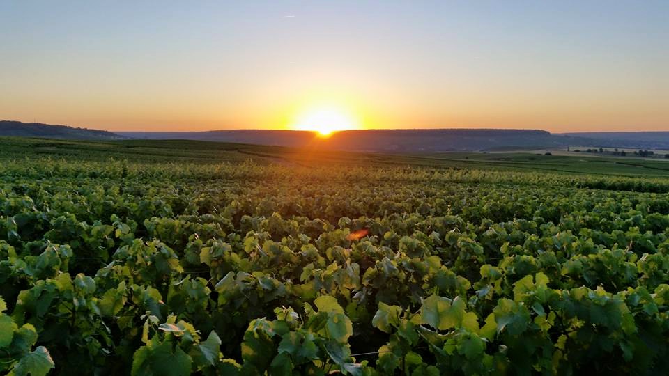 LEVER DE SOLEIL SUR LA CDB