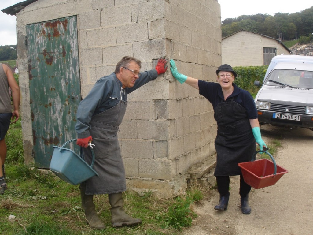 Vendanges Septembre 2015 006 (Copier)