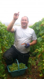 dominique-chamapgne-grand-cru