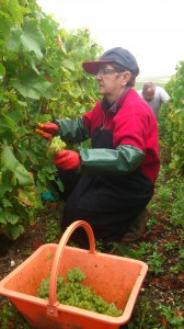 marieclaude-champagne-grand-cru