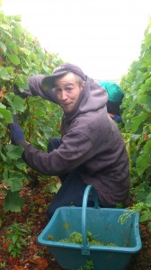 vendange-2012-Plu-Benjamin