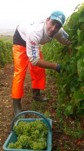 Thomas-champagne-grand-cru